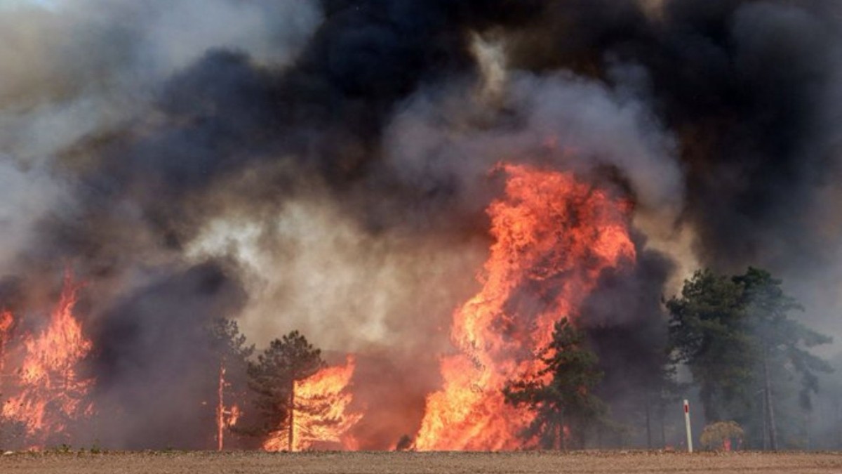 Bursa’daki orman yangınıyla ilgili bir kişi ‘kasten orman yakma’ suçundan tutuklandı